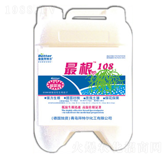 根108-拜特爾
