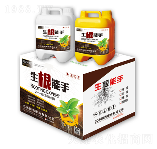 生根能手-陽(yáng)光沖霸-陽(yáng)光肥業(yè)