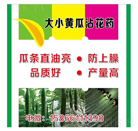 大、小黃瓜蘸花藥-美春農(nóng)業(yè)