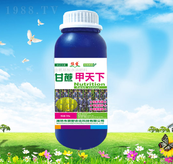 甘蔗甲天下-植圣-碧野農(nóng)化