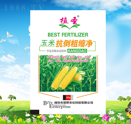 玉米抗倒粗縮凈-植圣-碧野農化