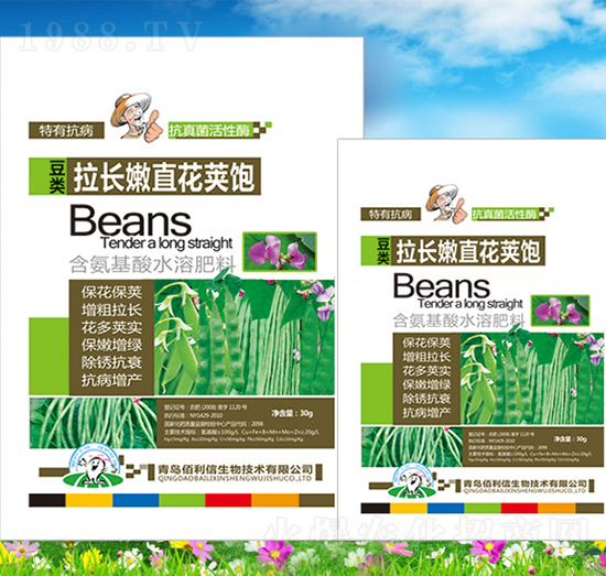 豆類拉長(zhǎng)嫩直花莢飽-碧野農(nóng)化