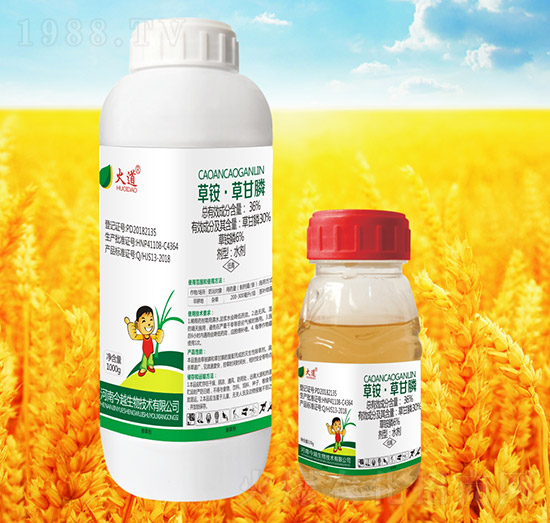 36%草銨草甘膦-火道-藍虎品牌