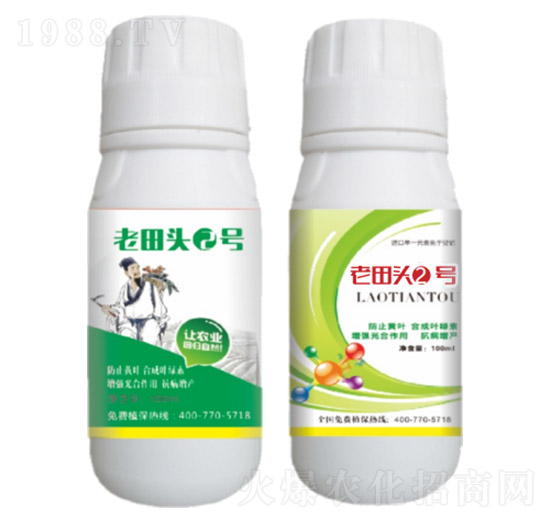真菌、細菌性病害、病毒?。ㄖ胁菟幣浞剑?老田頭2號