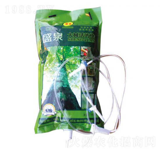 大樹(shù)活的快-盛泉-科海聯(lián)邦