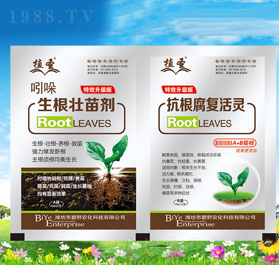 吲哚生根壯苗劑+抗根腐復活靈-植圣-碧野農化