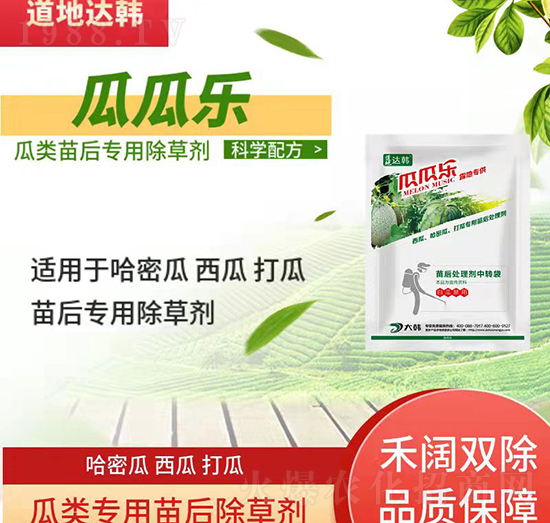 瓜類(lèi)除草劑-瓜類(lèi)苗后-瓜類(lèi)專(zhuān)用-瓜瓜樂(lè)-大韓