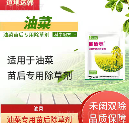 油菜除草劑-油菜苗后-油菜專(zhuān)用-大韓