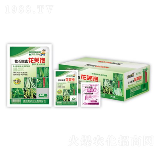 拉長(zhǎng)嫩直花莢飽-泰達(dá)農(nóng)化