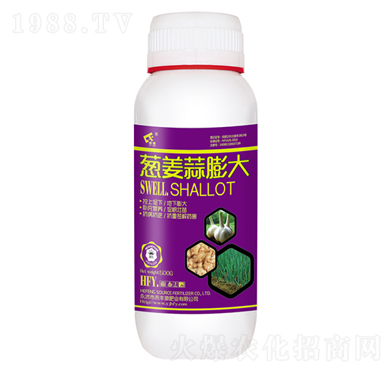 蔥姜蒜膨大-禾豐源肥業(yè)