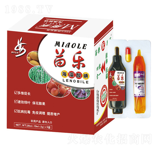 苗樂(lè)-嘉禾農(nóng)業(yè)