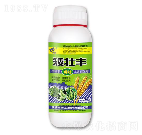 矮壯豐-禾豐源肥業(yè)