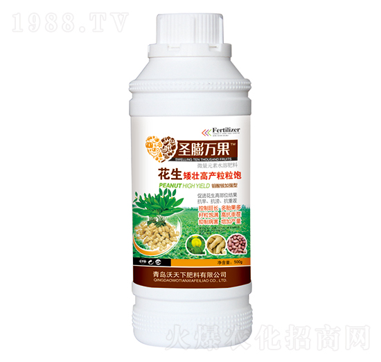 花生矮壯高產(chǎn)粒粒飽-圣膨萬(wàn)果-沃天下