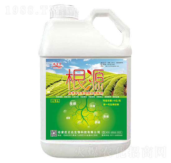 海藻甲殼素型微生物菌劑-根源-正達(dá)生物