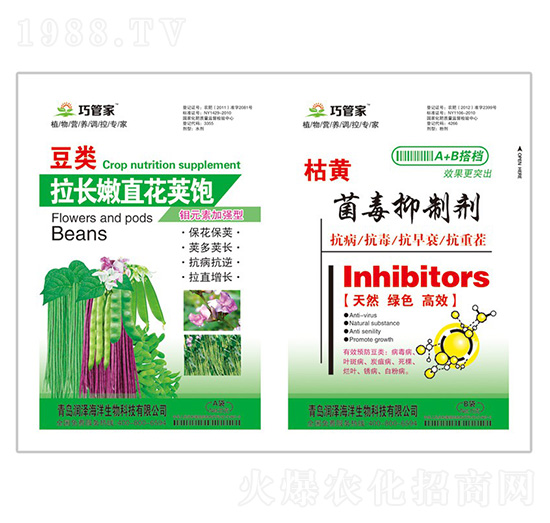 豆類拉長(zhǎng)嫩直花莢飽+枯黃菌毒抑制劑-貝能生物