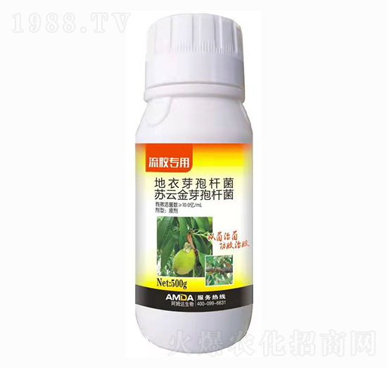 流膠專用菌劑 膠必好 阿姆達(dá)