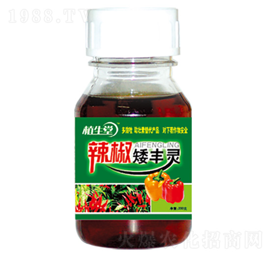 辣椒矮豐靈 萊利生物