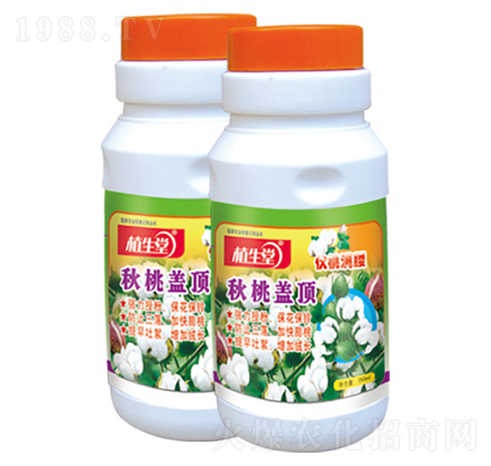秋桃蓋頂 植生堂 萊利生物