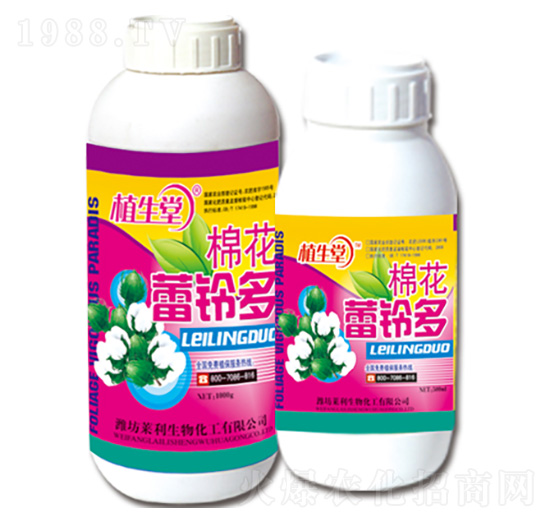 棉花蕾鈴多 植生堂 萊利生物