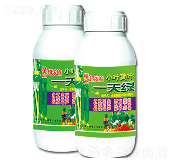 小葉黃葉一天綠 萊利生物