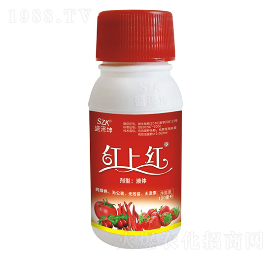 紅上紅 盛澤坤