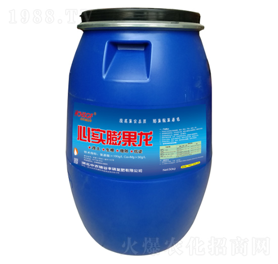 心實膨果龍 中農(nóng)施谷豐