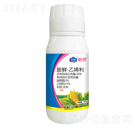 30%胺鮮·乙烯利 鉅控 鉅邦農業(yè)