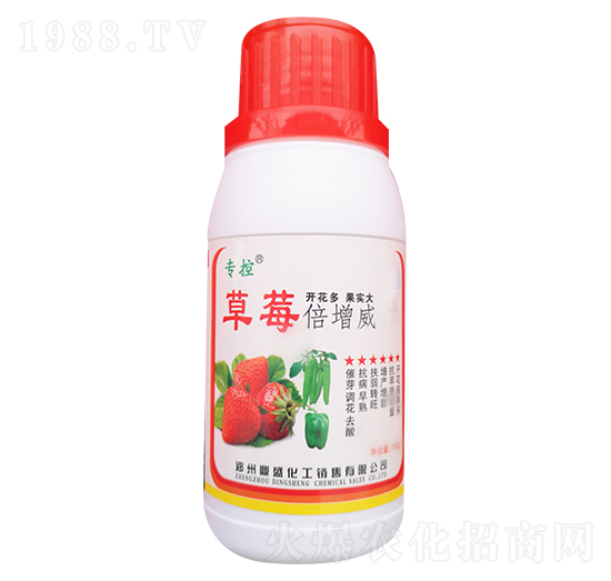 草莓倍增威-苗哥農(nóng)化
