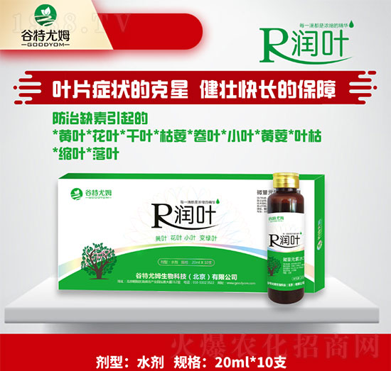 潤葉-黃葉、花葉、小葉變綠葉-谷特尤姆