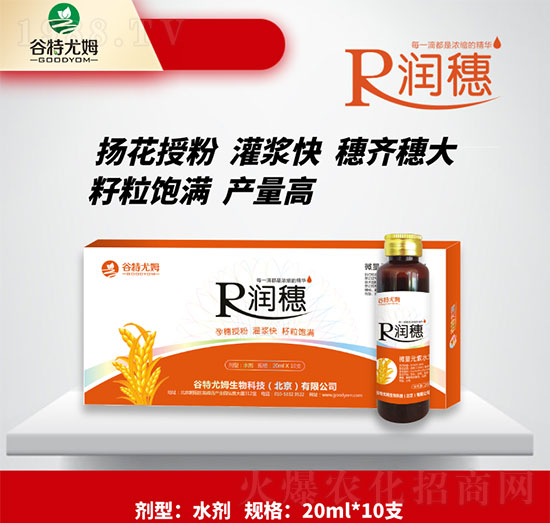 潤(rùn)穗-孕穗授粉，灌漿快，籽粒飽滿-谷特尤姆