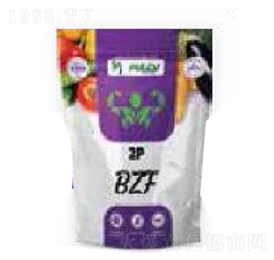 2p bzf 貝特普蘭