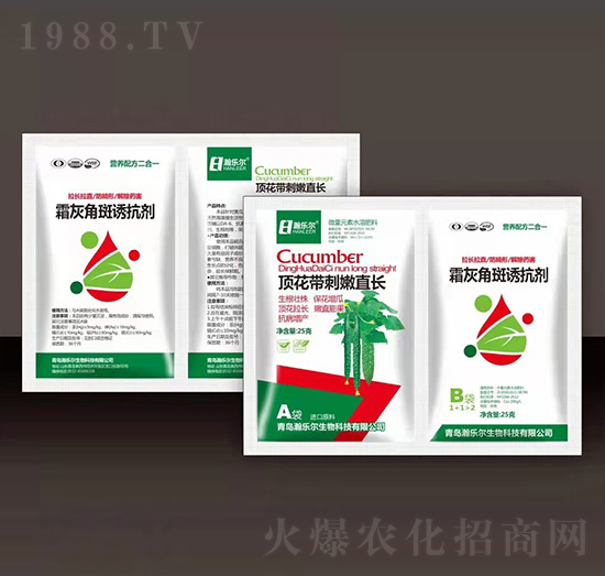 頂花帶刺嫩直長(zhǎng)+霜灰角斑誘抗劑-瀚樂爾