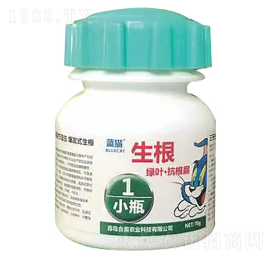藍貓葉噴生根一小瓶-合美農業(yè)