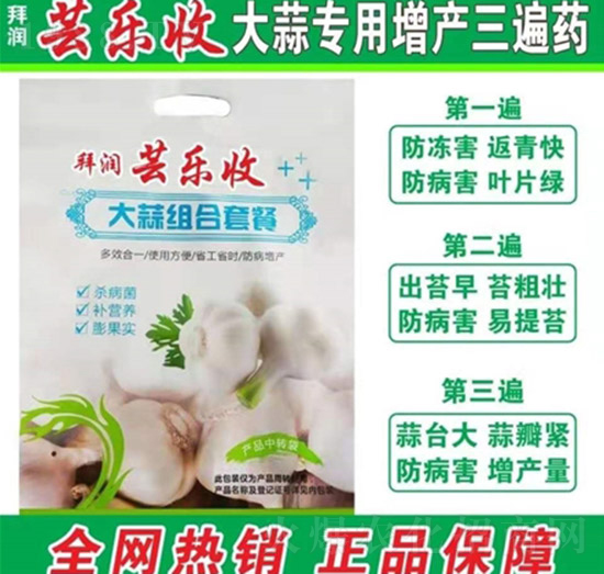 大蒜組合套餐-拜潤蕓樂收