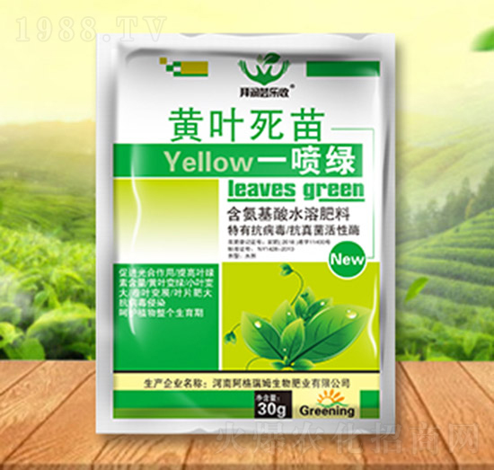 黃葉死苗一噴綠-拜潤(rùn)蕓樂(lè)收