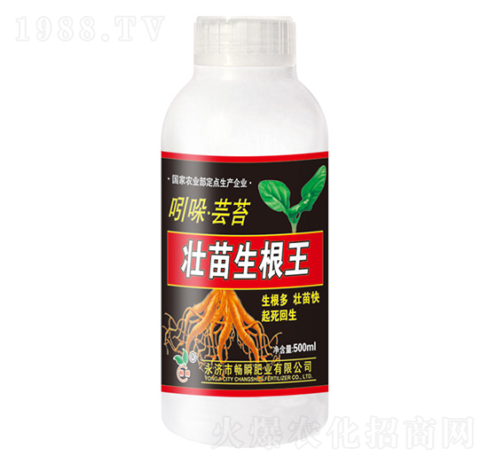 吲哚·蕓苔壯苗生根王-暢瞬