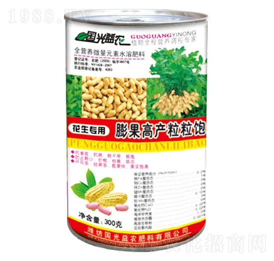 花生膨果高產(chǎn)粒粒飽-國光益農(nóng)