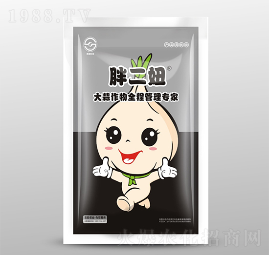 大蒜作物全程管理專(zhuān)家-胖二妞-圣勤農(nóng)業(yè)