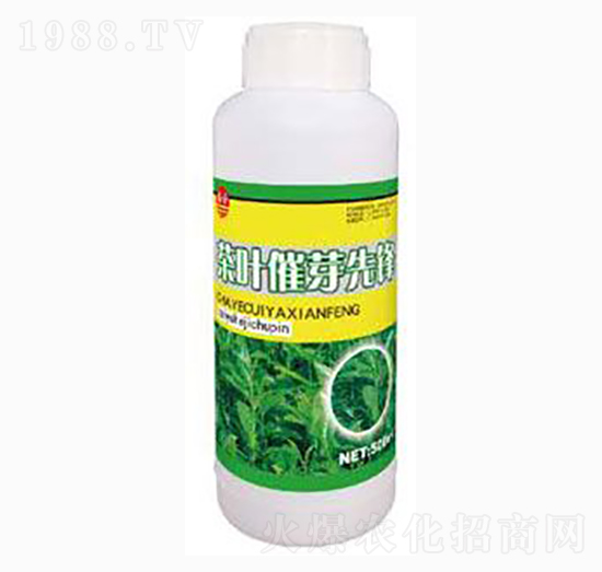 茶葉催芽先鋒-泰玉肥業(yè)