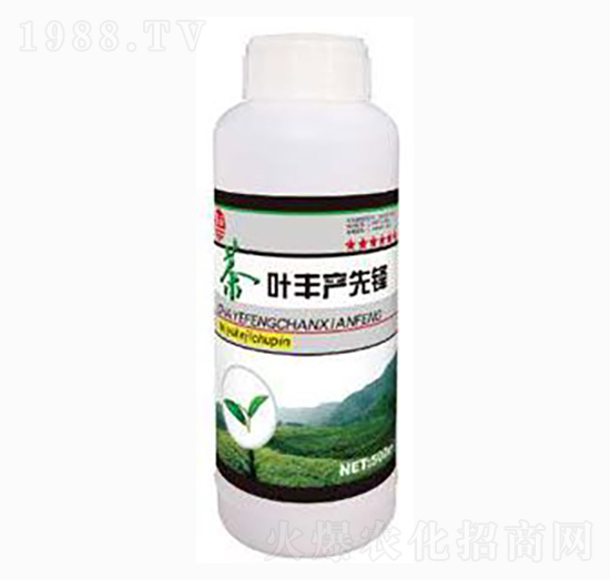 茶葉豐產(chǎn)先鋒-泰玉肥業(yè)