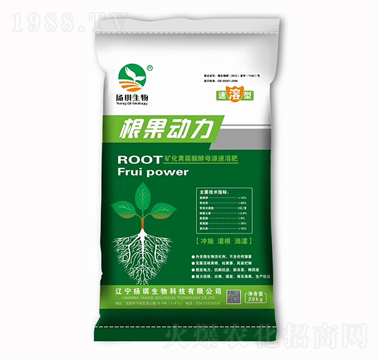 根果動力-揚(yáng)琪生物