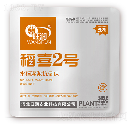 水稻灌漿抗倒伏-稻喜2號-旺潤農業(yè)