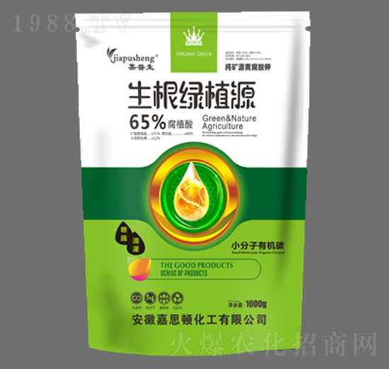 生根綠植源-嘉普生-嘉思頓