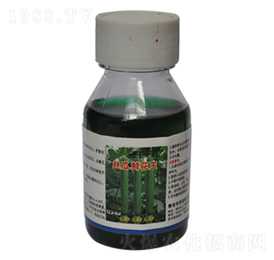絲瓜鮮花王-農(nóng)伯樂(lè)