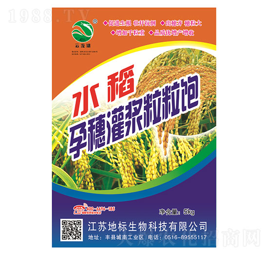 水稻孕穗灌漿粒粒飽-地標生物