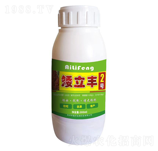 矮立豐2號-禾植豐