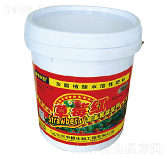 含腐植酸水溶肥料-草莓紅-中根生物