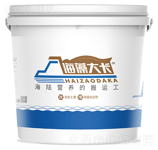 海藻大卡-藍能量