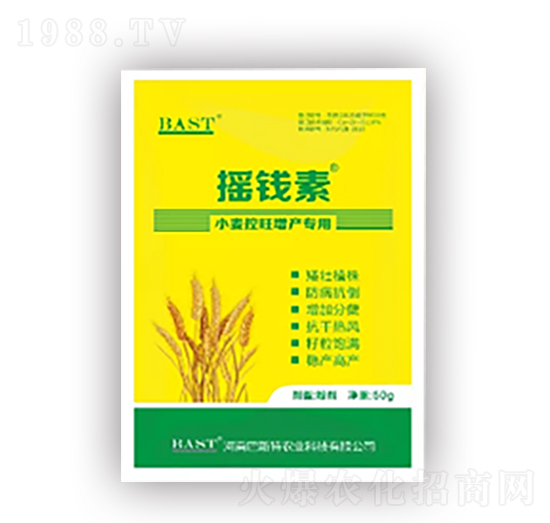 小麥控旺增產(chǎn)專(zhuān)用-搖錢(qián)素作物