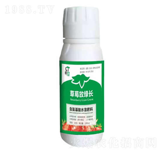 草莓放綠長(zhǎng)-初唐-睿之澤